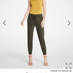 Ann taylor joggers pants hunter green